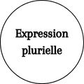  Expressions plurielles