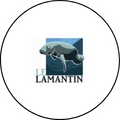  Le lamantin